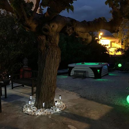 Les Dahlias Appartement 4 Personnes Jacuzzi Barbecue Jardin Arbore Climatise Agde Dış mekan fotoğraf